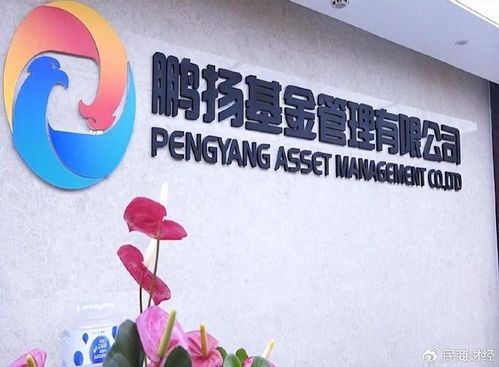 鵬揚數字經濟先鋒連跌三年，前泰達宏利名將張勛接任能否力挽狂瀾？