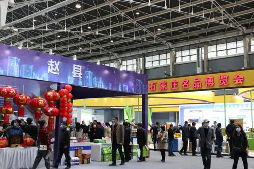 鑫慶余·石家莊名品博覽會 三千精品薈萃，共繪產業新圖景